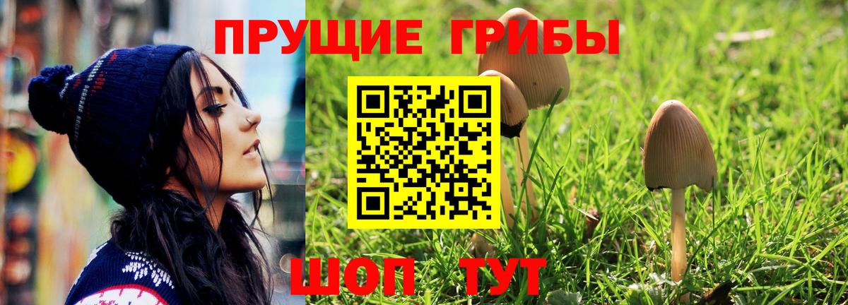 Псилоцибиновые грибы Magic Shrooms Ступино